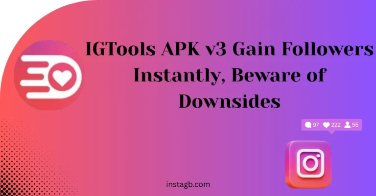 IGTools APK v3 2025 Gain Followers Instantly, Beware of Downsides 3 IGTools APK v3 download and furnish your insta account .